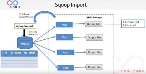 八款主流數據遷移工具技術選型解析，助力數據處理技術開發(fā)